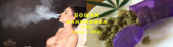 PSILOCYBIN Вязники